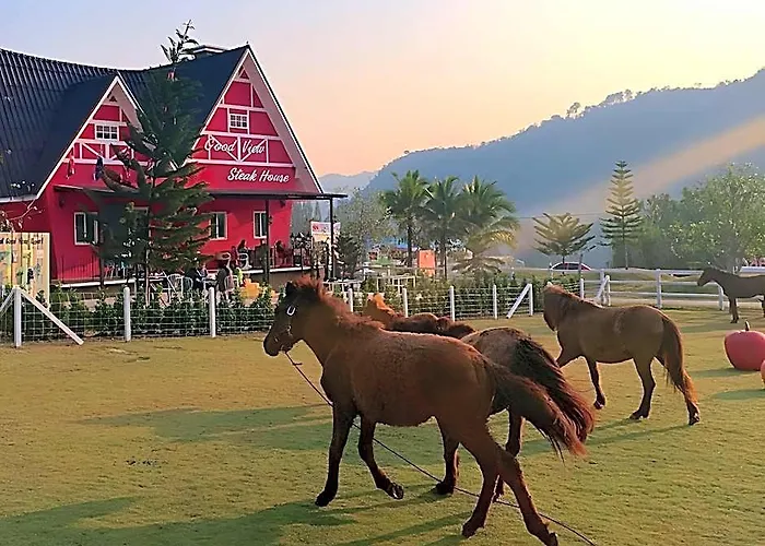 Royal Good View & Farm