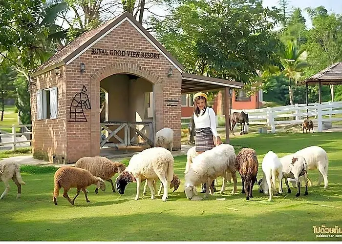 อพาร์ทเม้น Royal Good View & Farm