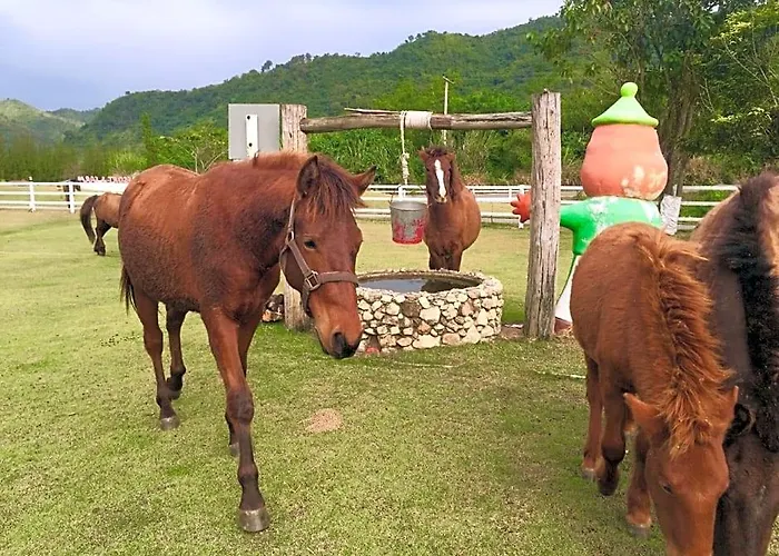Royal Good View & Farm สวนผึ้ง