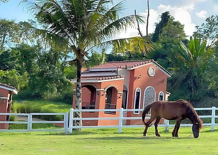 อพาร์ทเม้น Royal Good View & Farm *
