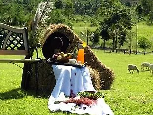 Royal Good View & Farm *